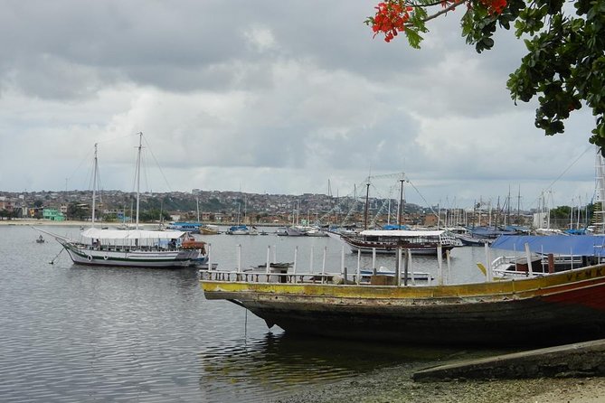 Salvador Full-Day Private Highlights Tour With Transportation - Salvador Da Bahia