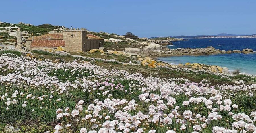 Salvora: Island Tour With Mussel Tasting - Good To Know