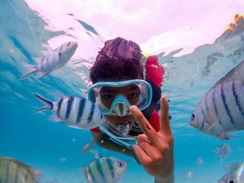 Samaesarn : Finding Nemo Tour by Private Speedboat