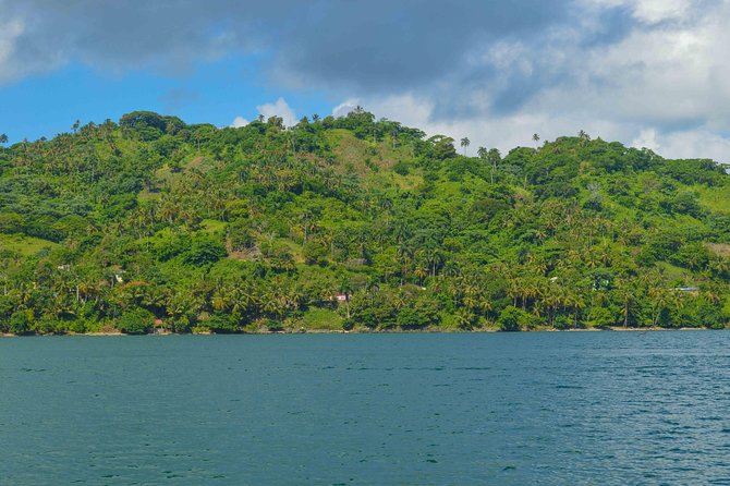 Samana Full-Day Tour With Whale Watching and Horse Riding