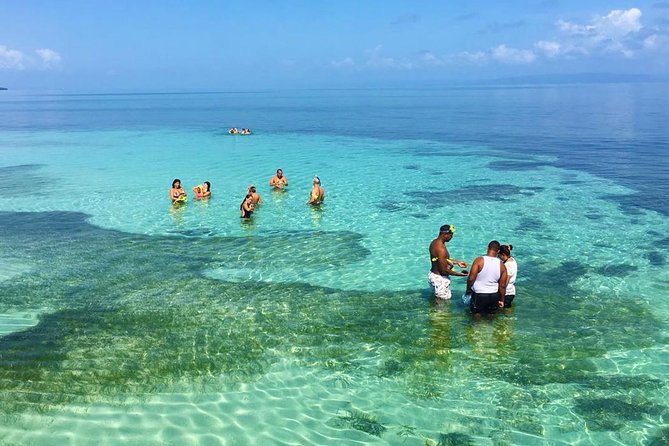 Samana Full Day Trip From Punta Cana - Good To Know