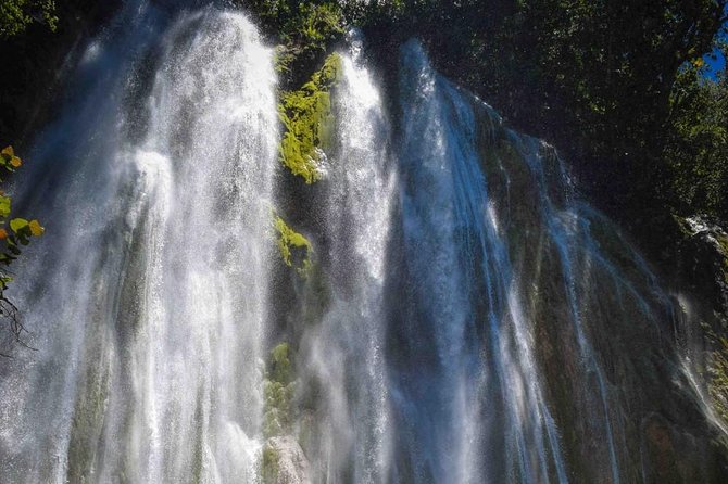 Samana Tours (With Whales) Full Day Excursion! All Inclusive Tour! - Good To Know