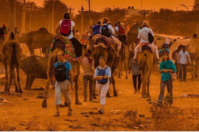 Same Day Ajmer-Pushkar Tour Through AC Car" - Good To Know