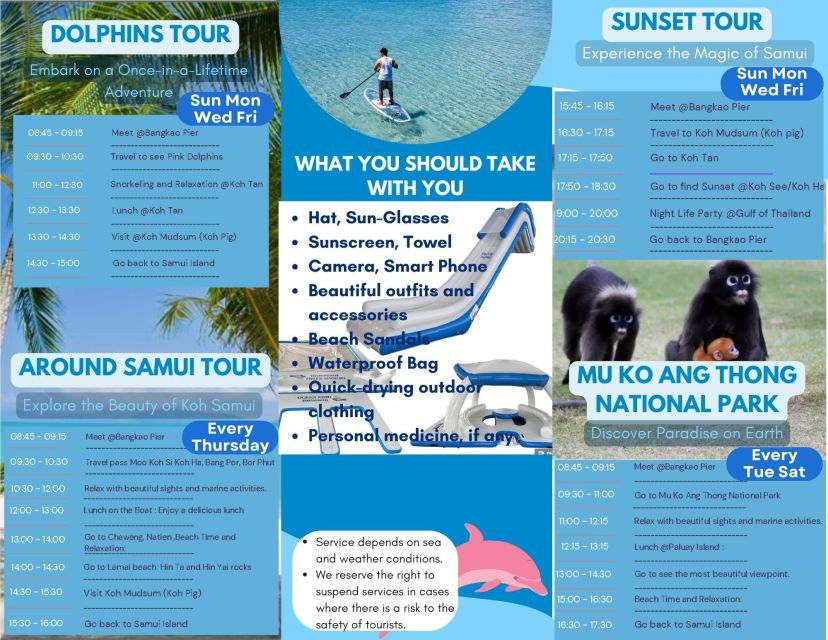 Samui Dolphins Tour by Catamaran Yacht - Good To Know