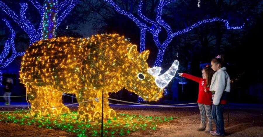 San Antonio: Any Day Zoo Entry Ticket - Ticket Details
