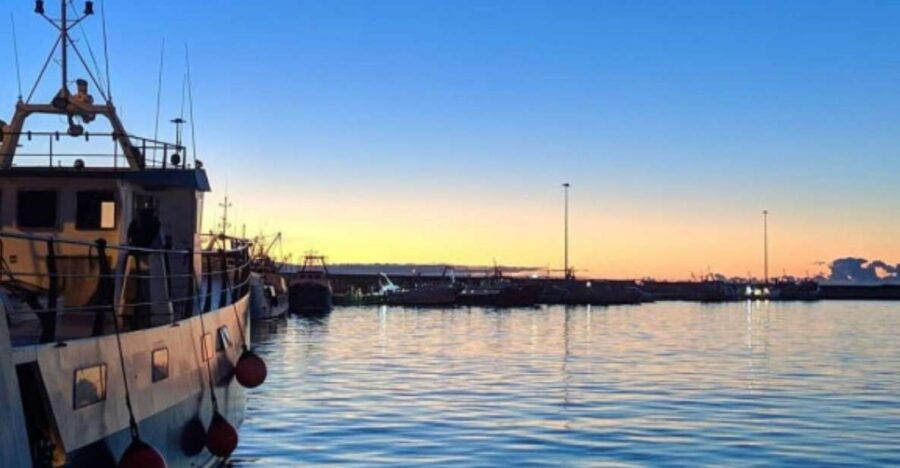 San Benedetto Del Tronto: Fish Auction Tour - Good To Know