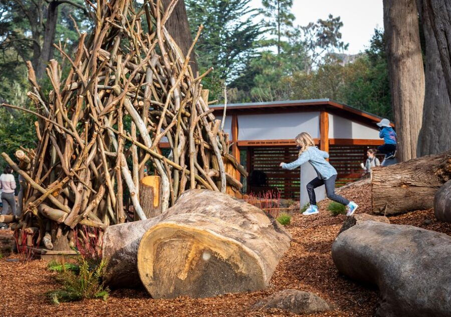 San Francisco: California Academy of Sciences Entry Ticket - Good To Know