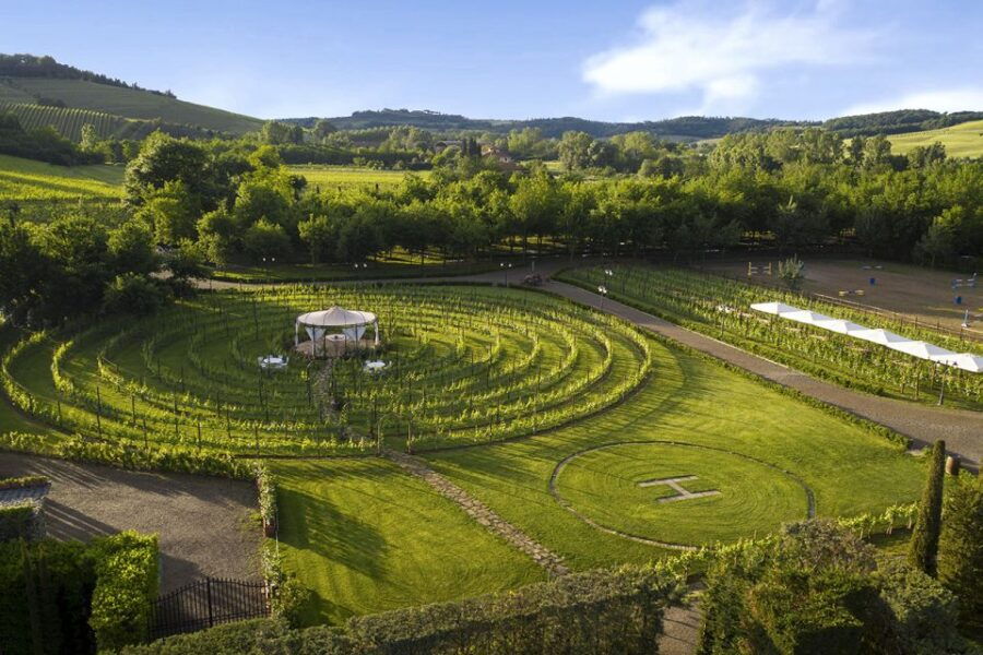 San Gimignano: Essential Wine Tasting & Tour at Tasting Bar