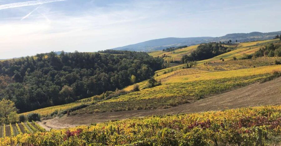 San Gimignano: Nature, Organic Wine and Lightheartedness