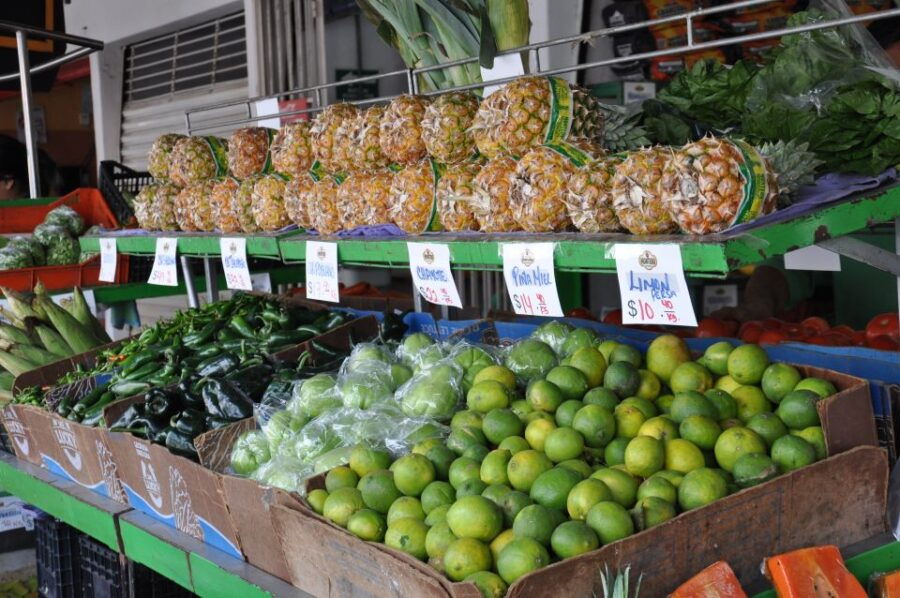 San Jose Del Cabo: Market Tour and Cooking Class - Good To Know