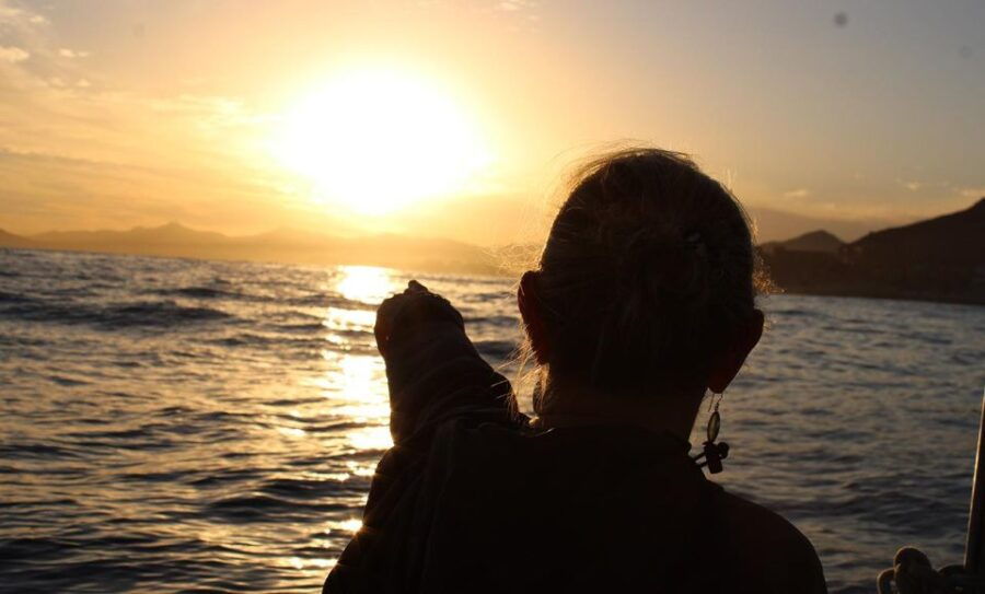 San Jose Del Cabo Sunset Whale Watching - Good To Know