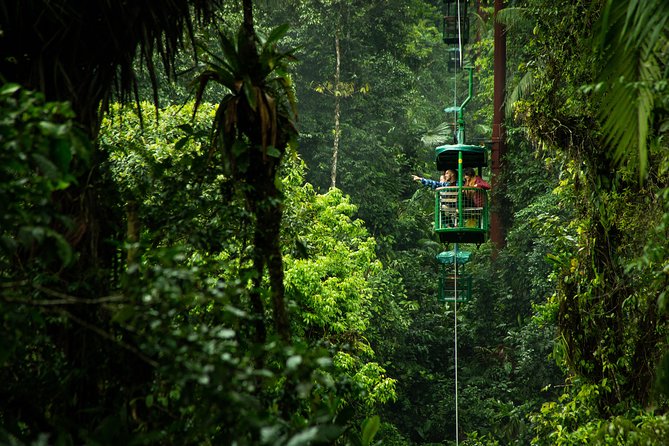 San Jose Rainforest Adventures With Zipline and Canopy Gondola - Good To Know