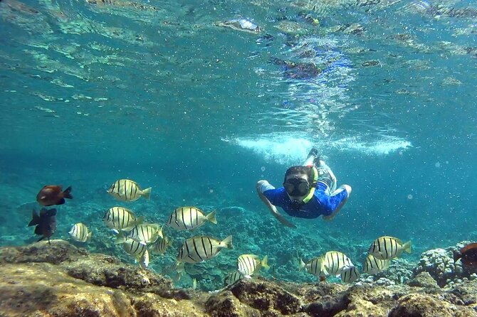 San Juan Snorkeling /Transportation Incl - Snorkeling Destination Overview