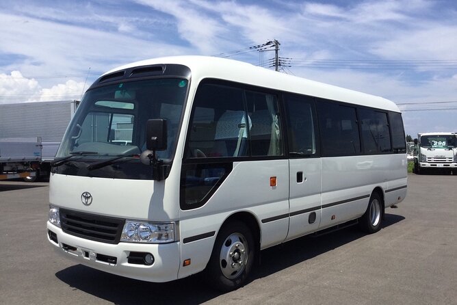 Sandals Southcoast Private Airport Transfer - Transportation Information