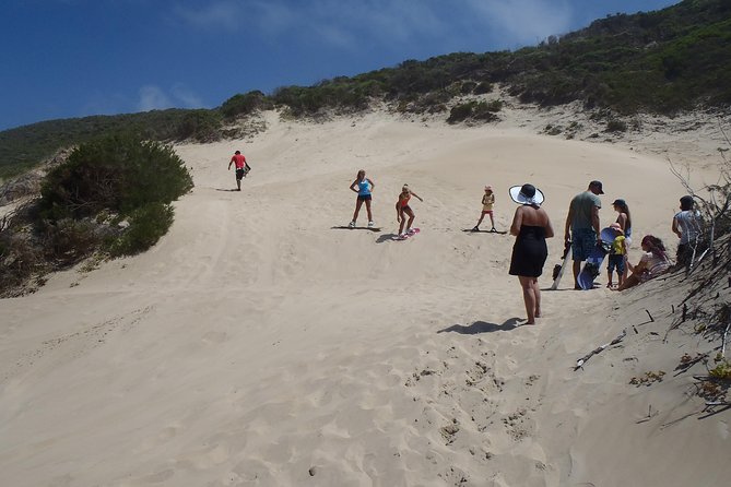 Sandboarding Tour in Knysna, South Africa