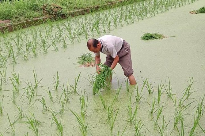 Sanjiang Chengyang Dong Village Private Day Tour From Guilin or Yangshuo