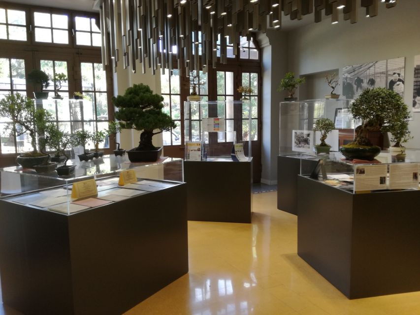 Sanremo: Floriseum – Flower Museum Entry Ticket