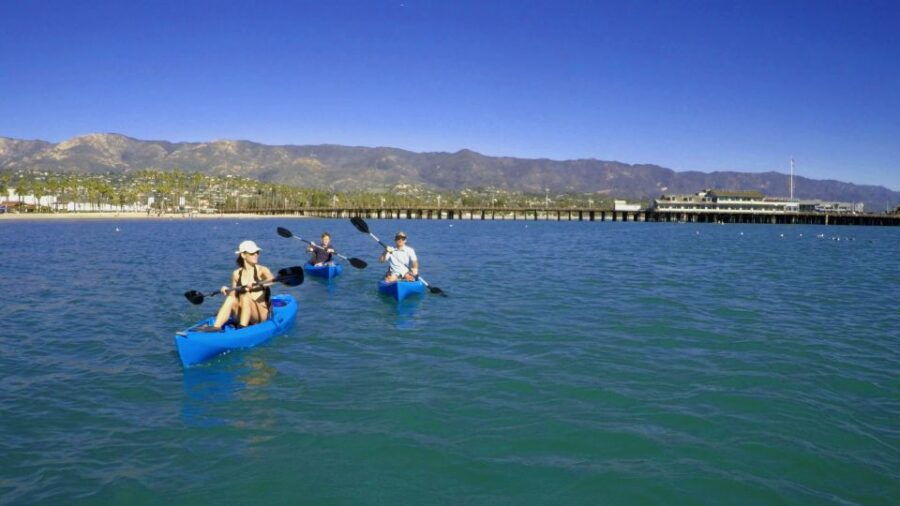 Santa Barbara: 1.5-Hour Harbor Kayak Tour - Good To Know
