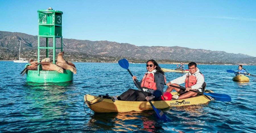Santa Barbara: Guided Kayak Tour - Good To Know