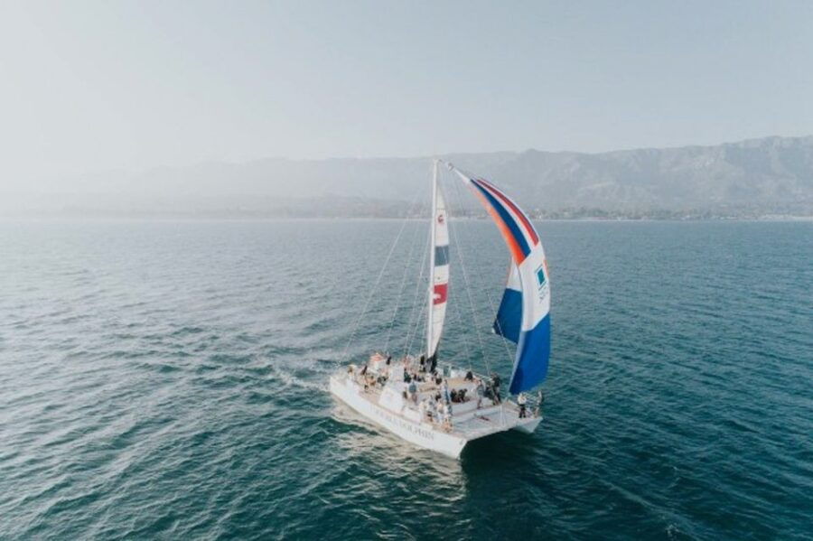 Santa Barbara: Whale Watching Catamaran Cruise With Bar