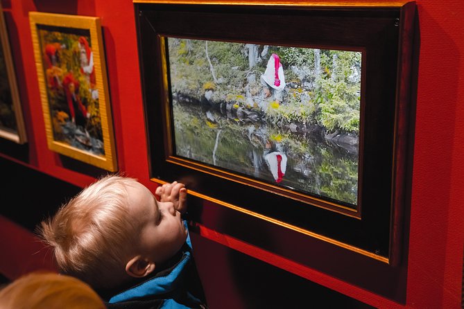 Santa Claus Village and Snowmobiling Safari From Rovaniemi - Good To Know