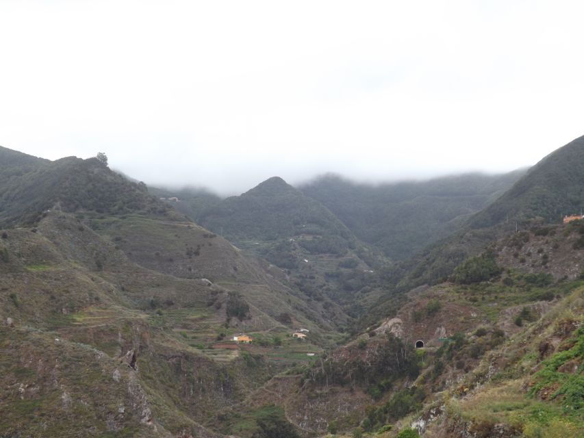Santa Cruz De Tenerife: 2-Hour Hiking Tour in Anaga Forest