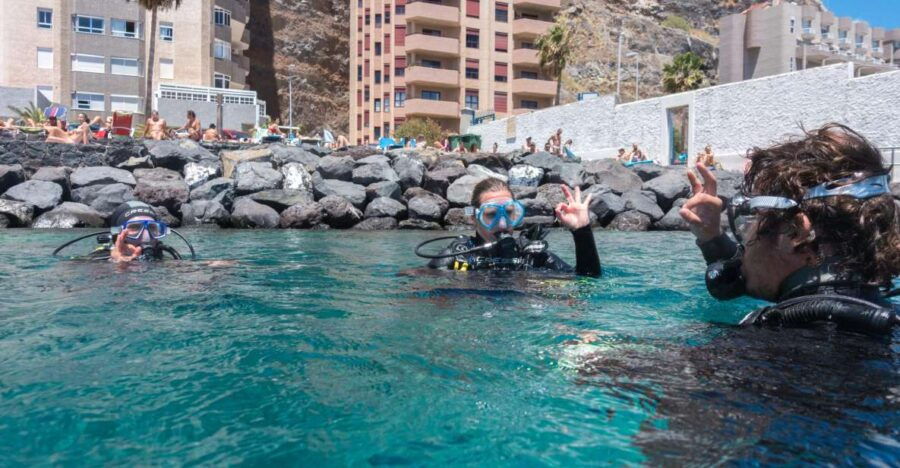 Santa Cruz De Tenerife: PADI Introductory Dive