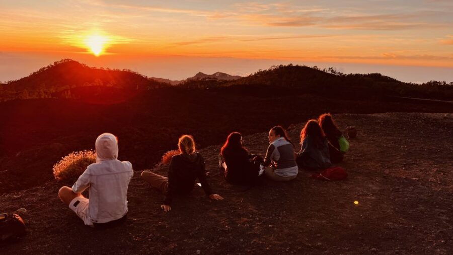 Santa Cruz De Tenerife: Private Teide National Park Tour