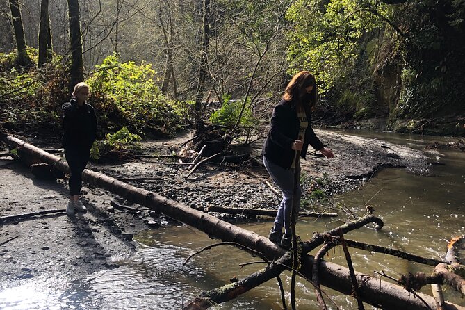 Santa Cruz Redwoods Forest Therapy