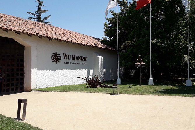 Santa Cruz & Viu Manent Private Day Tour From Santiago - Good To Know