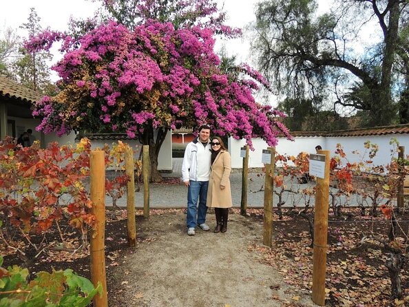 Santa Rita Winery Selection Tour