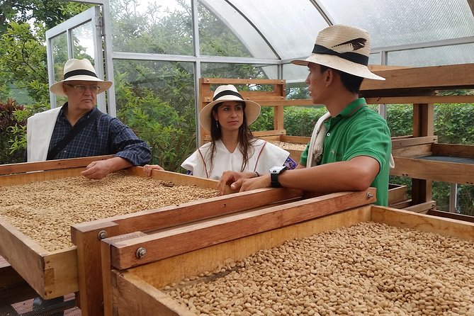 Santa Rosa Del Cabal Half-Day Coffee Tour at La Finca Del Cafe - Pereira