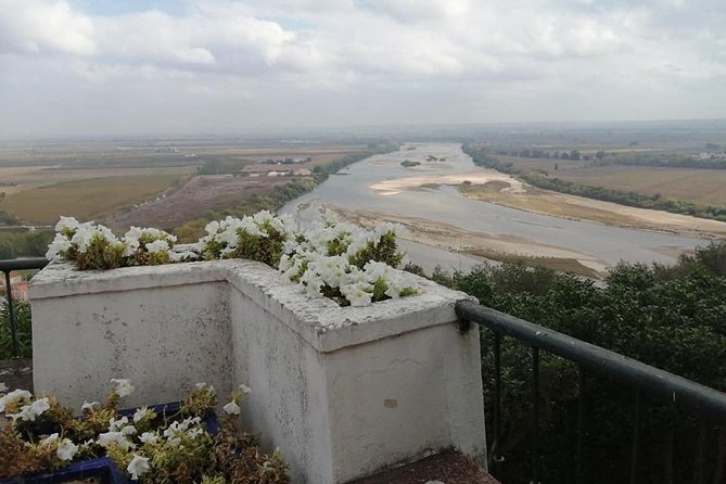Santarem Sul: Holy Miracle, Pedro Alvares Cabral, Gothic, Gates of the Sun, Art - Good To Know