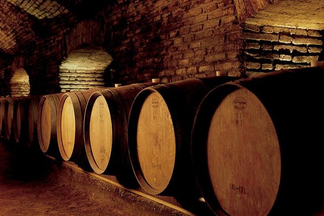 Santiago: Half Day Visit to Concha Y Toro Vineyard, Include Entrace & Transport - Good To Know