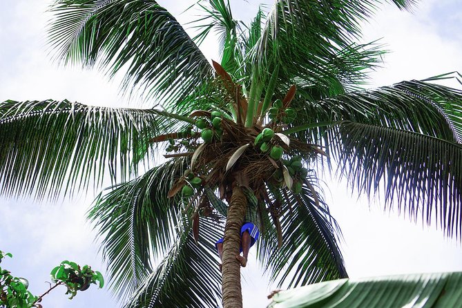 Santiago Island: Banana Plantation, Natural Park & Workshop With a Local Family