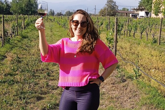 Santiago Private Cousino Macul Wine Tasting Tour - Good To Know