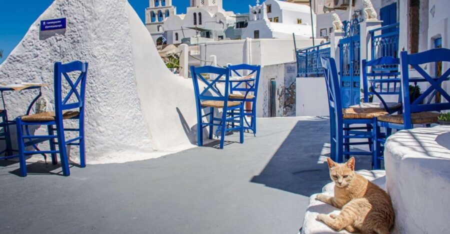 Santorini: Northern Side Private Tour With Local Guide
