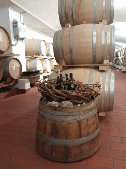 Santorini Shore Excursion - Half Day Wine Tour - Good To Know