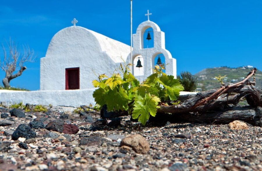 Santorini's "Wine Roads": Wine Tasting Tour at 3 Wineries