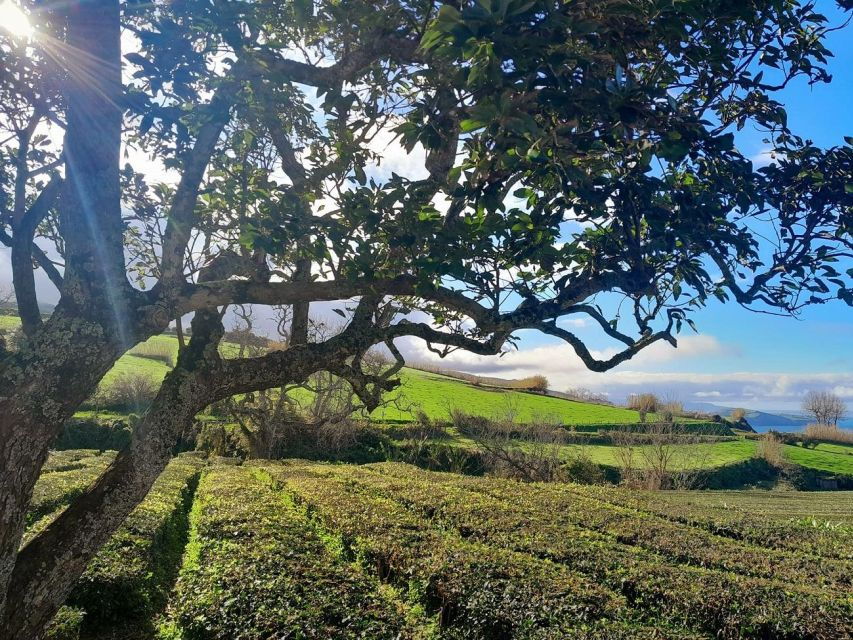 São Miguel: 2-Day Guided Tour, West & East Including Lunch - Good To Know