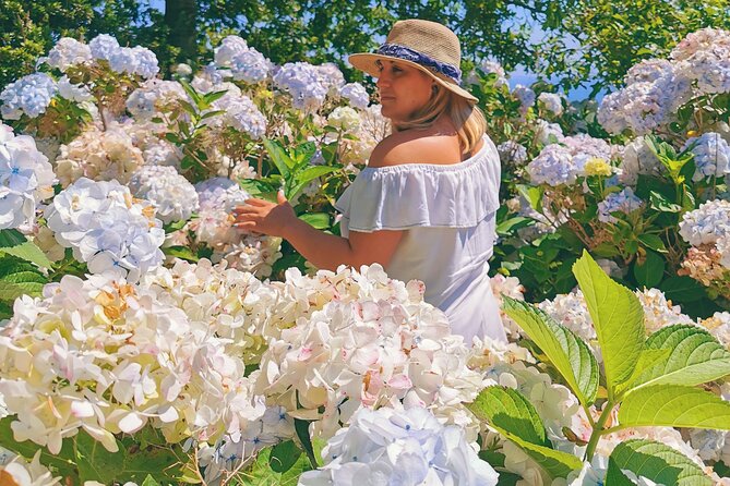 São Miguel, Azores – Private Tour in 8 Seats Van “Exclusively for You”