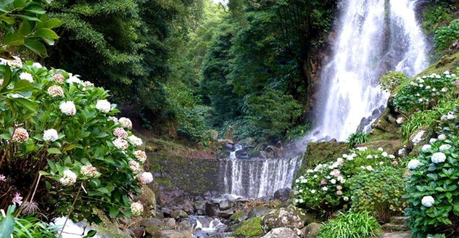São Miguel: Full Day Tour to Nordeste
