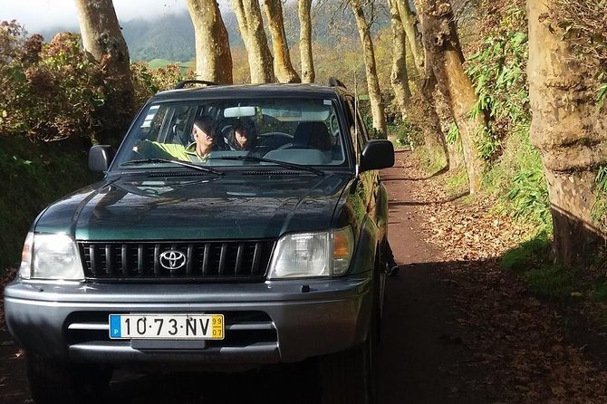 São Miguel: Nordeste Small-Group Tour From Ponta Delgada