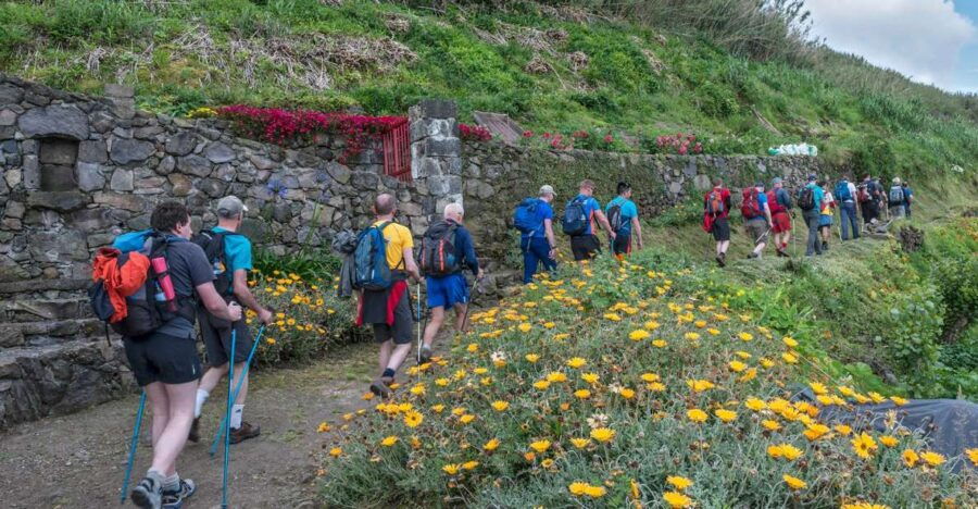 São Miguel: Ribeira Funda Hike & Tea Plantation With Lunch - Good To Know