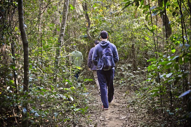 Sao Paulo to Cantareira State Park Private Half-Day Eco Tour (Feb ) - Good To Know