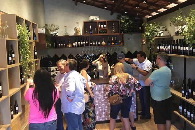 Sao Roque Wine Tasting and Shopping Day Tour From Sao Paulo (Feb )