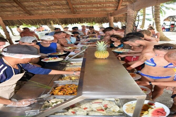 Saona Island by Catamaran and Speedboat - Tour Highlights