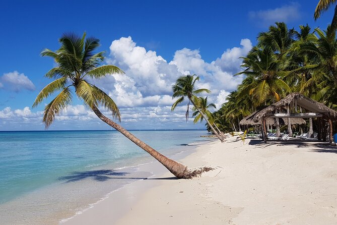 Saona Island Day Trip From Cap Cana With Lunch and Open Bar Included - Good To Know
