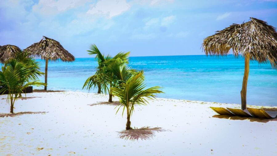 Saona Island Day Trip Lunch Open Bar From Punta Cana - Good To Know