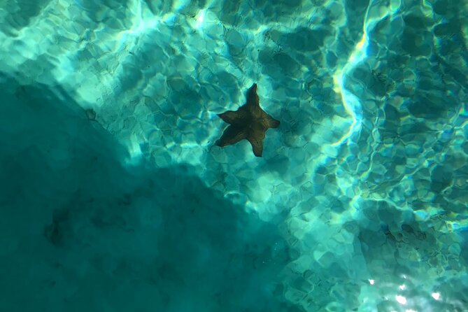 Saona Island Full Day Adventure With Snorkeling - Good To Know